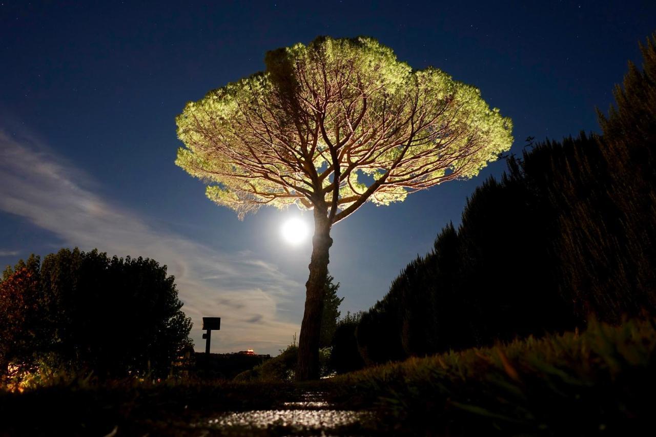 Agriturismo Buon Riposo - Country Resort In The Heart Of Tuscany San Giovanni a Corazzano Exteriör bild