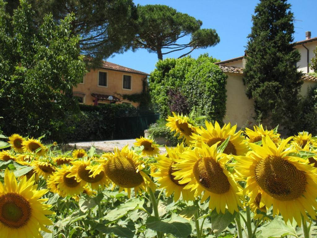 Agriturismo Buon Riposo - Country Resort In The Heart Of Tuscany San Giovanni a Corazzano Exteriör bild