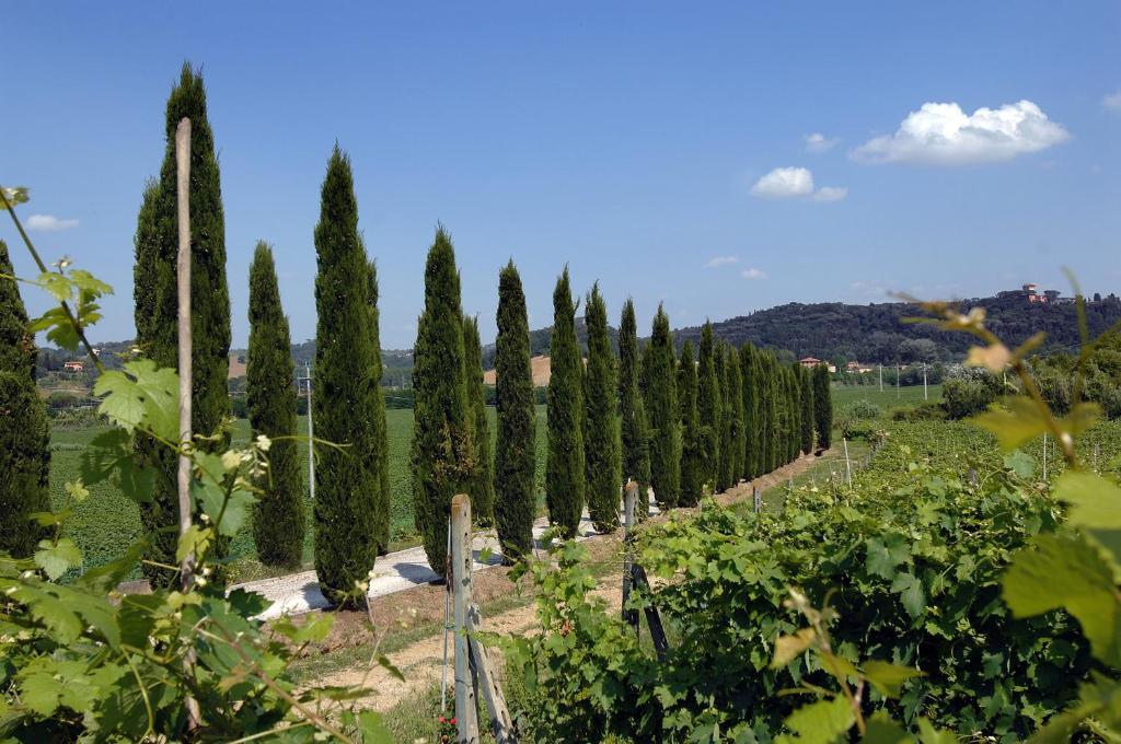 Agriturismo Buon Riposo - Country Resort In The Heart Of Tuscany San Giovanni a Corazzano Exteriör bild